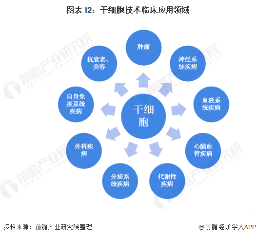 干細胞技術(shù)的臨床應(yīng)用領(lǐng)域與開發(fā)前景